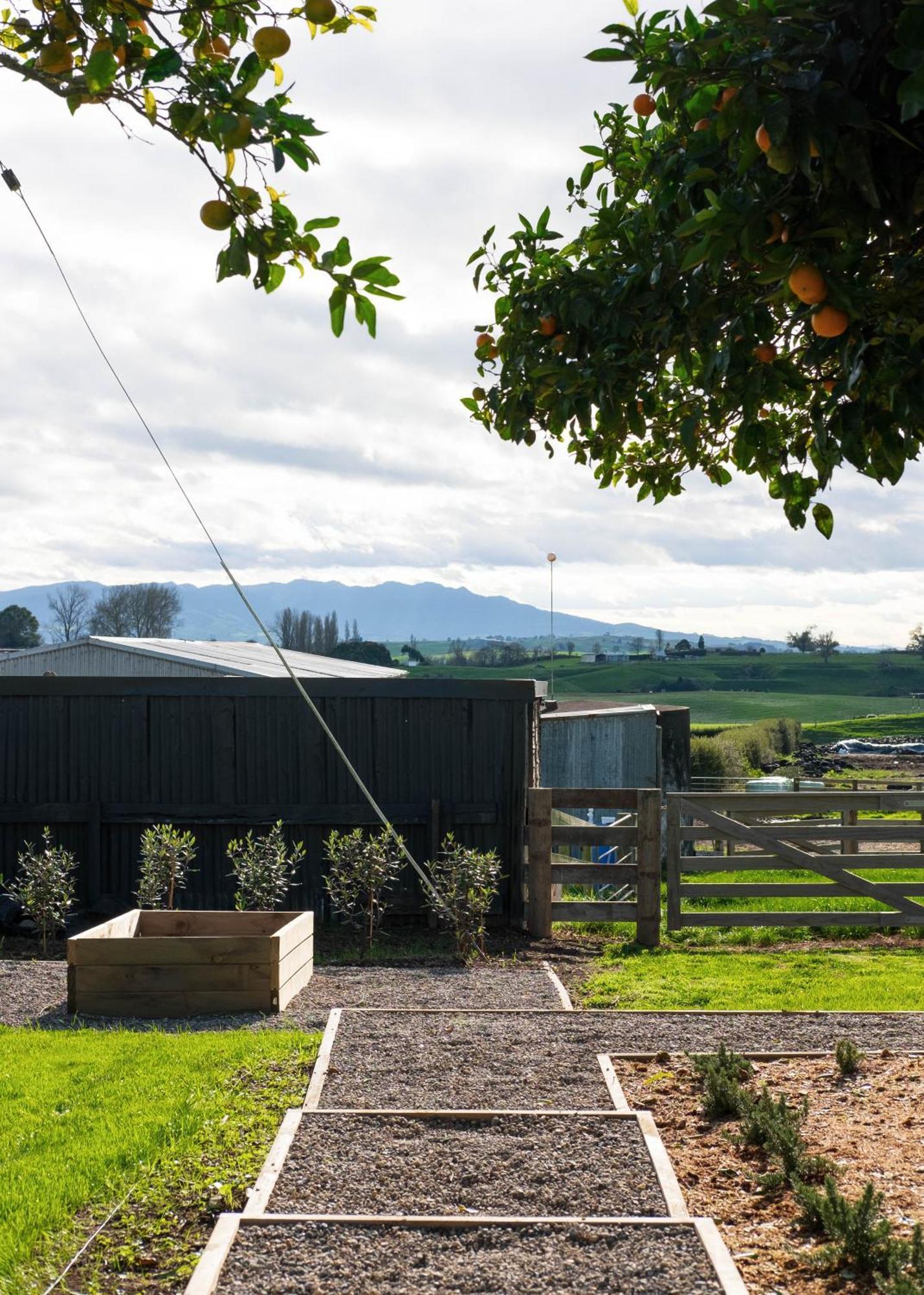Willow View Cottage - Beautiful Farm Views Close To Waitomo Otorohanga Exterior photo